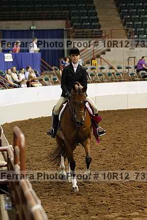 Proof Number 10r12_7327