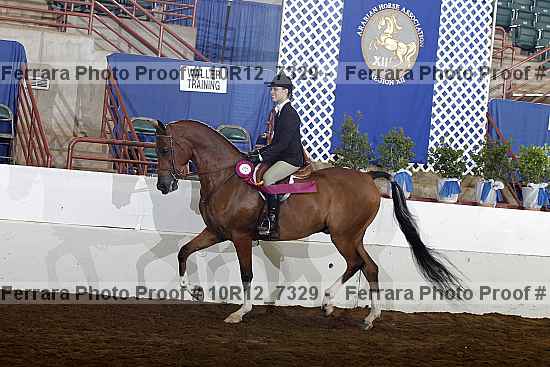 Proof Number 10r12_7329