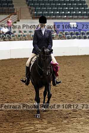 Proof Number 10r12_7331