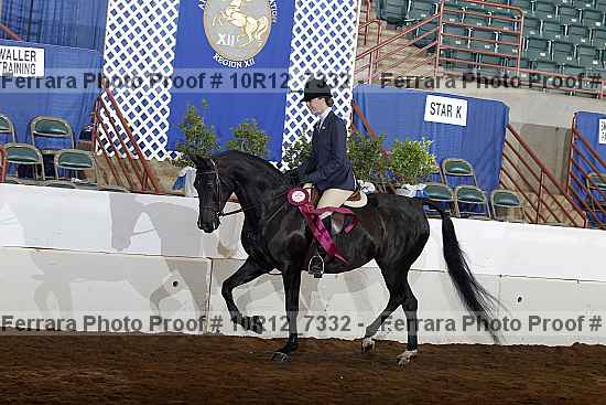 Proof Number 10r12_7332
