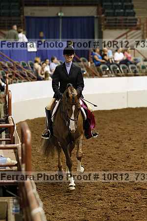Proof Number 10r12_7333
