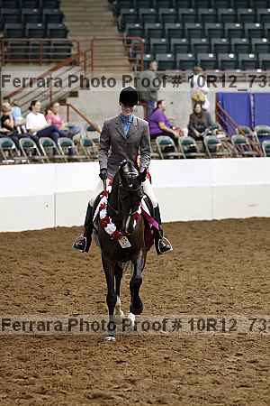 Proof Number 10r12_7336