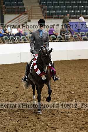 Proof Number 10r12_7337