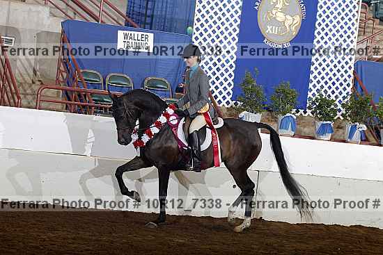 Proof Number 10r12_7338