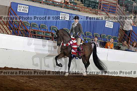Proof Number 10r12_7340