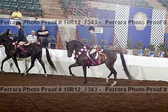 Proof Number 10r12_7343