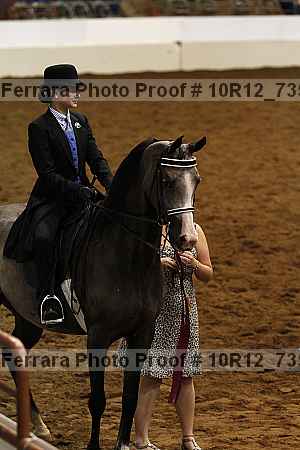 Proof Number 10r12_7353