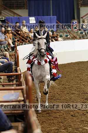Proof Number 10r12_7372
