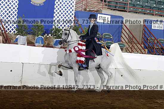 Proof Number 10r12_7373