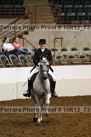 Proof Number 10r12_7378