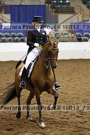 Proof Number 10r12_7381