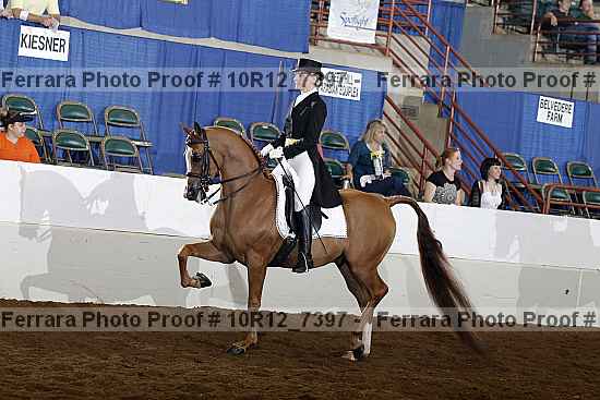Proof Number 10r12_7397