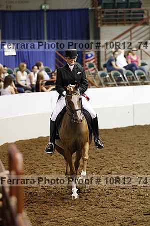 Proof Number 10r12_7417