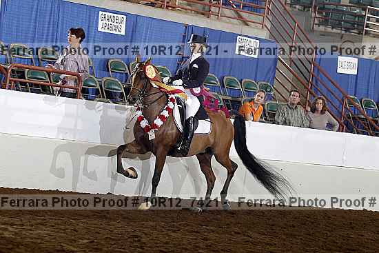 Proof Number 10r12_7421
