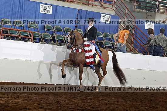 Proof Number 10r12_7424