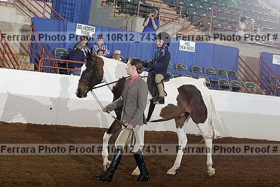 Proof Number 10r12_7431