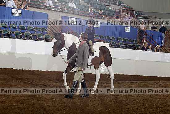 Proof Number 10r12_7450