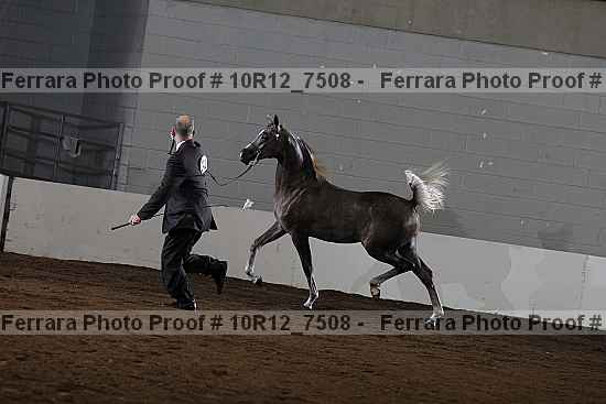 Proof Number 10r12_7508