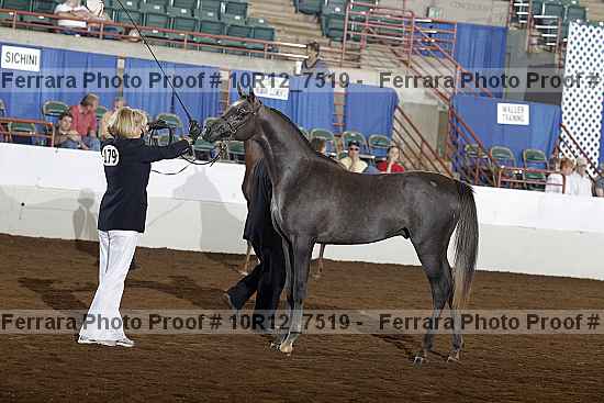 Proof Number 10r12_7519