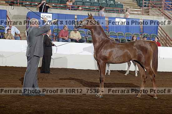Proof Number 10r12_7536