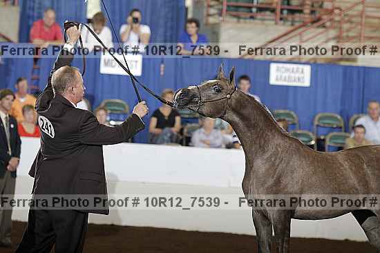 Proof Number 10r12_7539