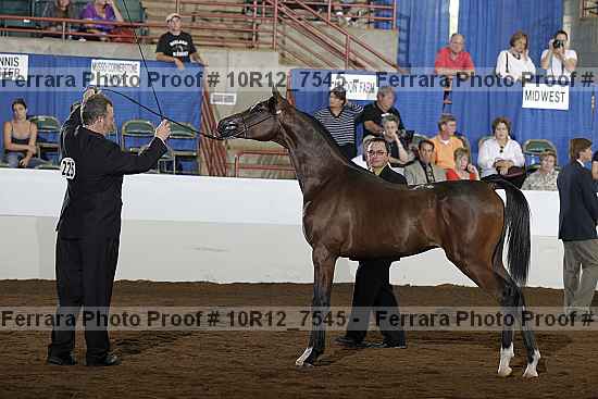 Proof Number 10r12_7545