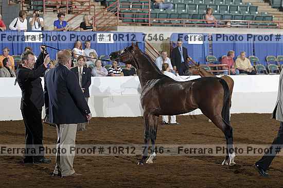 Proof Number 10r12_7546