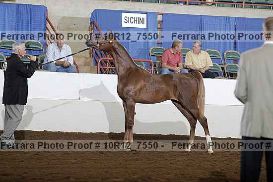 Proof Number 10r12_7550