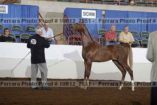 Proof Number 10r12_7551