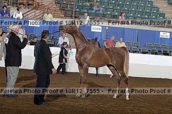 Proof Number 10r12_7555