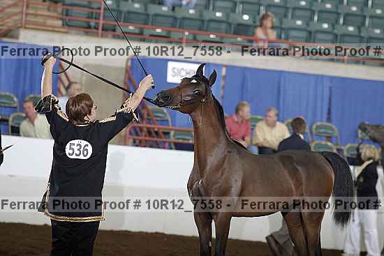 Proof Number 10r12_7558