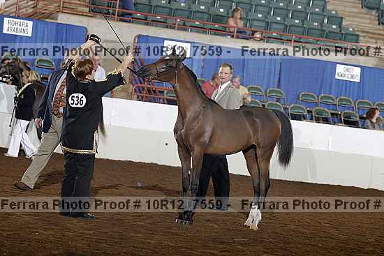 Proof Number 10r12_7559