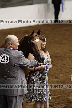 Proof Number 10r12_7582