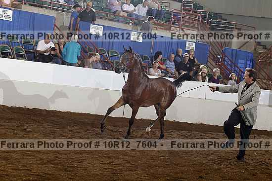 Proof Number 10r12_7604