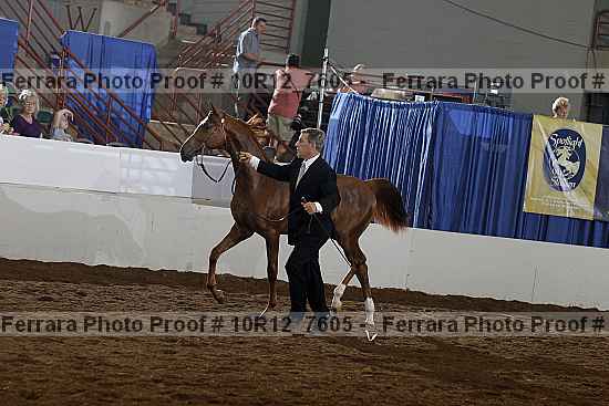 Proof Number 10r12_7605