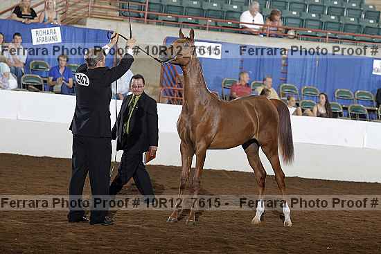 Proof Number 10r12_7615