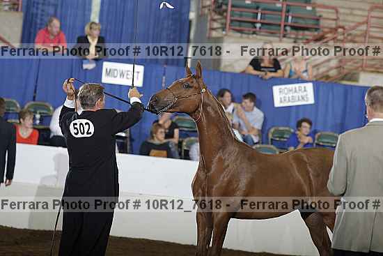 Proof Number 10r12_7618