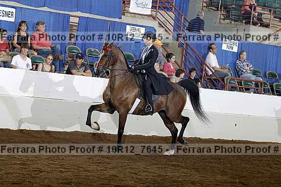 Proof Number 10r12_7645