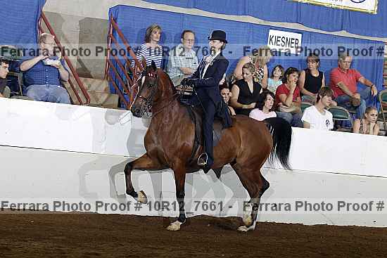 Proof Number 10r12_7661