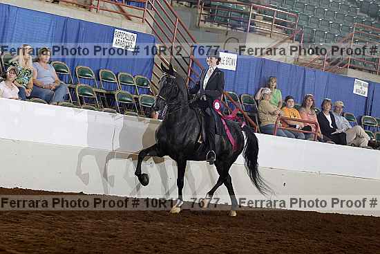 Proof Number 10r12_7677