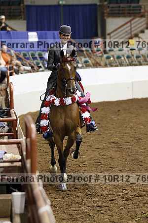 Proof Number 10r12_7691