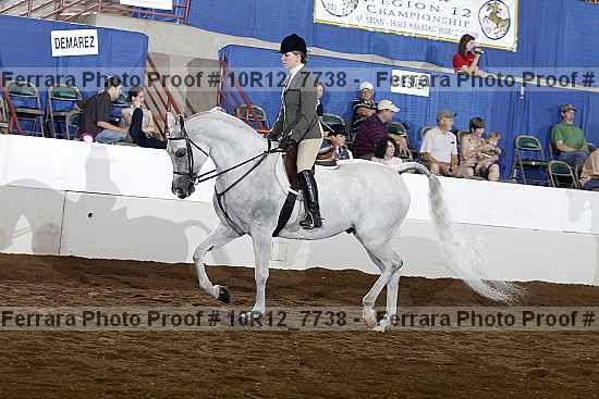 Proof Number 10r12_7738