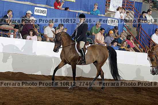 Proof Number 10r12_7746