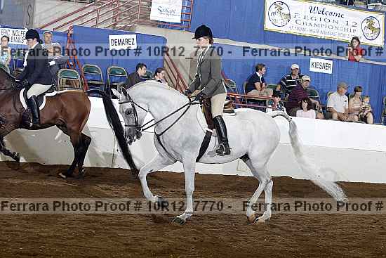 Proof Number 10r12_7770