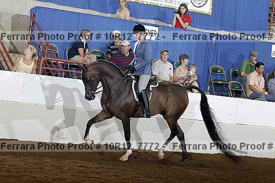 Proof Number 10r12_7772