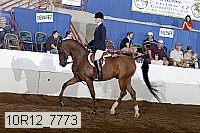10r12_7773 thumbnail