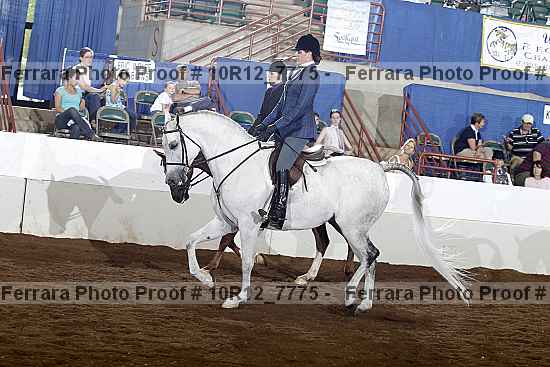 Proof Number 10r12_7775