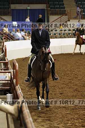 Proof Number 10r12_7782