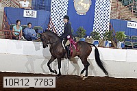 10r12_7783 thumbnail