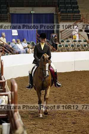 Proof Number 10r12_7784